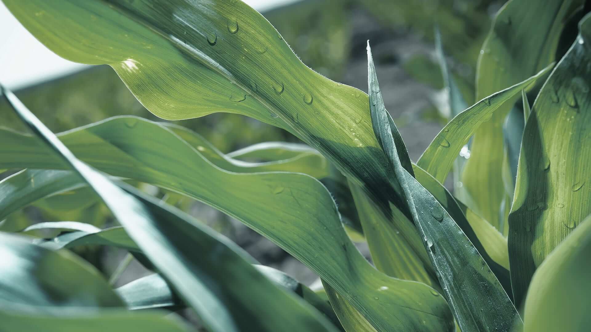 temp-prod-image3