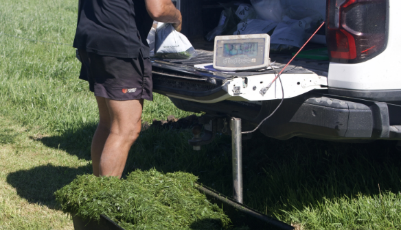 Agraforum December Trial Cuts Weigh-In